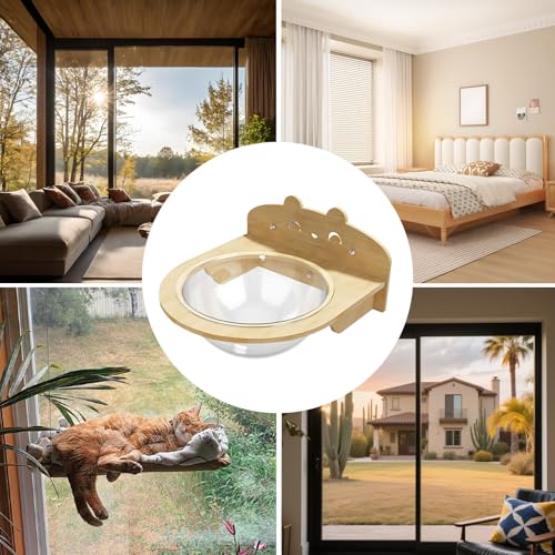 Percha de ventana para gatos con ventosas fuertes y hamaca interior para el descanso de mascotas 5