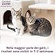 Das Pheromon-Beruhigungshalsband für Katzen hilft ihnen, Sich sicher und zufrieden zu fühlen, ruhig zu Sein und Stress, Ängste und unerwünschtes Verhalten zu reduzieren, Packung mit einem Halsband