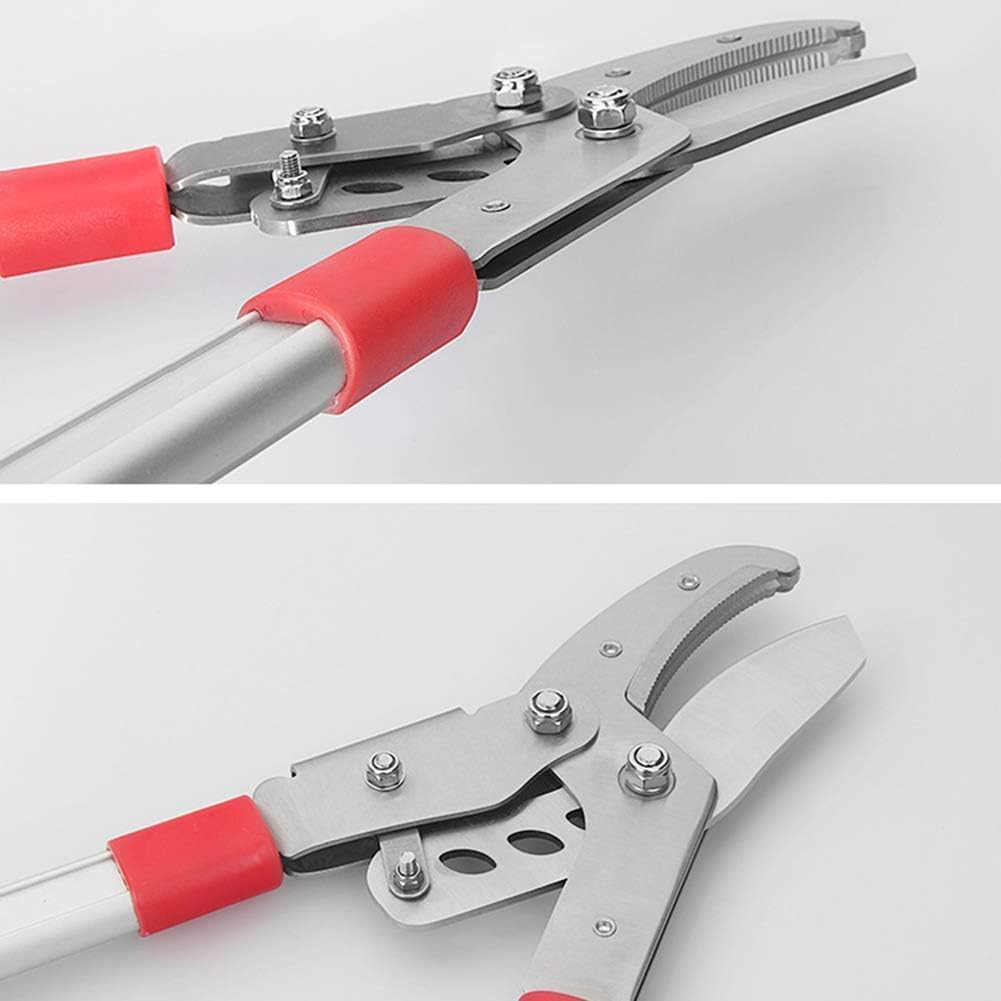 Telescopic Ratchet Anvil Lopper,Fruit Tree Pruning Shears Steel Sk5 High Branch Shears Garden Trimming Tools Thick Branches Scissors