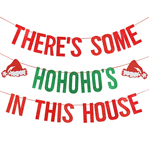 Red and Green Glitter There's Some HoHoHos in This House Banner, Funny Christmas Party Banner Decorations for Xmas Holiday Party Home Office Fireplace Mantle Decorations