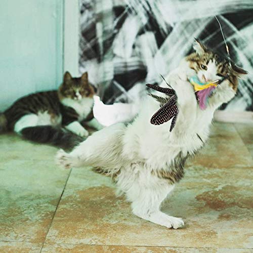 Highland Farms Select Handgefertigtes Katzenspielzeug mit natürlichen Federn, interaktives Katzen- und Kätzchenspielzeug, 6 Stück