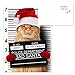 Purrpetrator Santa Cats Holiday Card Assortment Pack / 24 Christmas Cats Greeting Cards and Envelopes / 3 Bad Santa Kitten Designs With Message Inside