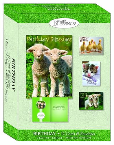 CPG Card-Boxed-Shared Blessings-Birthday Fur and Feathers (Box of 12)