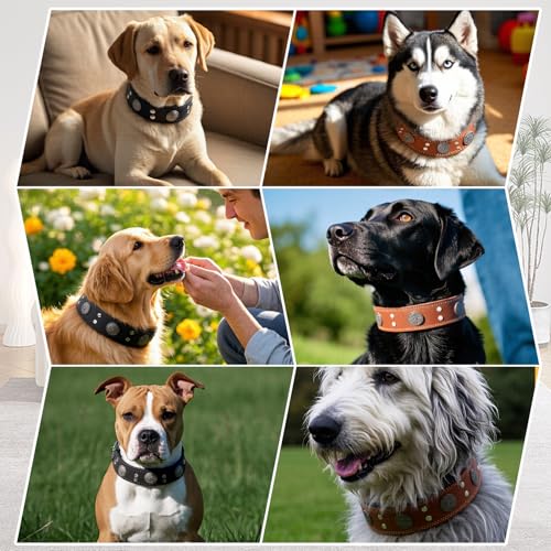 Lederhalsband Hund, 5cm Hundehalsband Leder Breit, Einstellbar Hunde Halsbänder Mit Metallschnalle, Halsband Hund Breit Für Große Und Mittelgroße Hunderassen XL