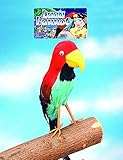 Forum Novelties Pirate Parrot Prop