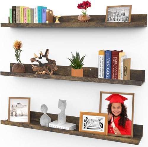 Icona Bay 36 Inch Floating Shelves for Wall - Set of 3 in Walnut ...