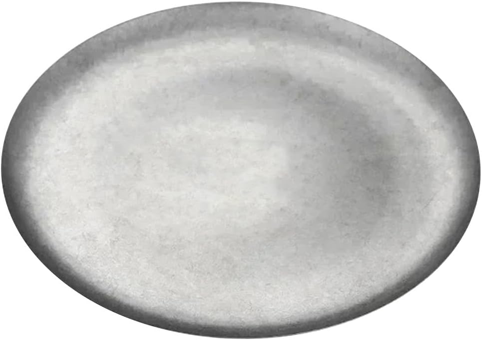 Stainless Steel Dish, 10.24"x0.51" Reusable Metal Dinner Dish for Home Kitchen Outdoor Picnic, Silver