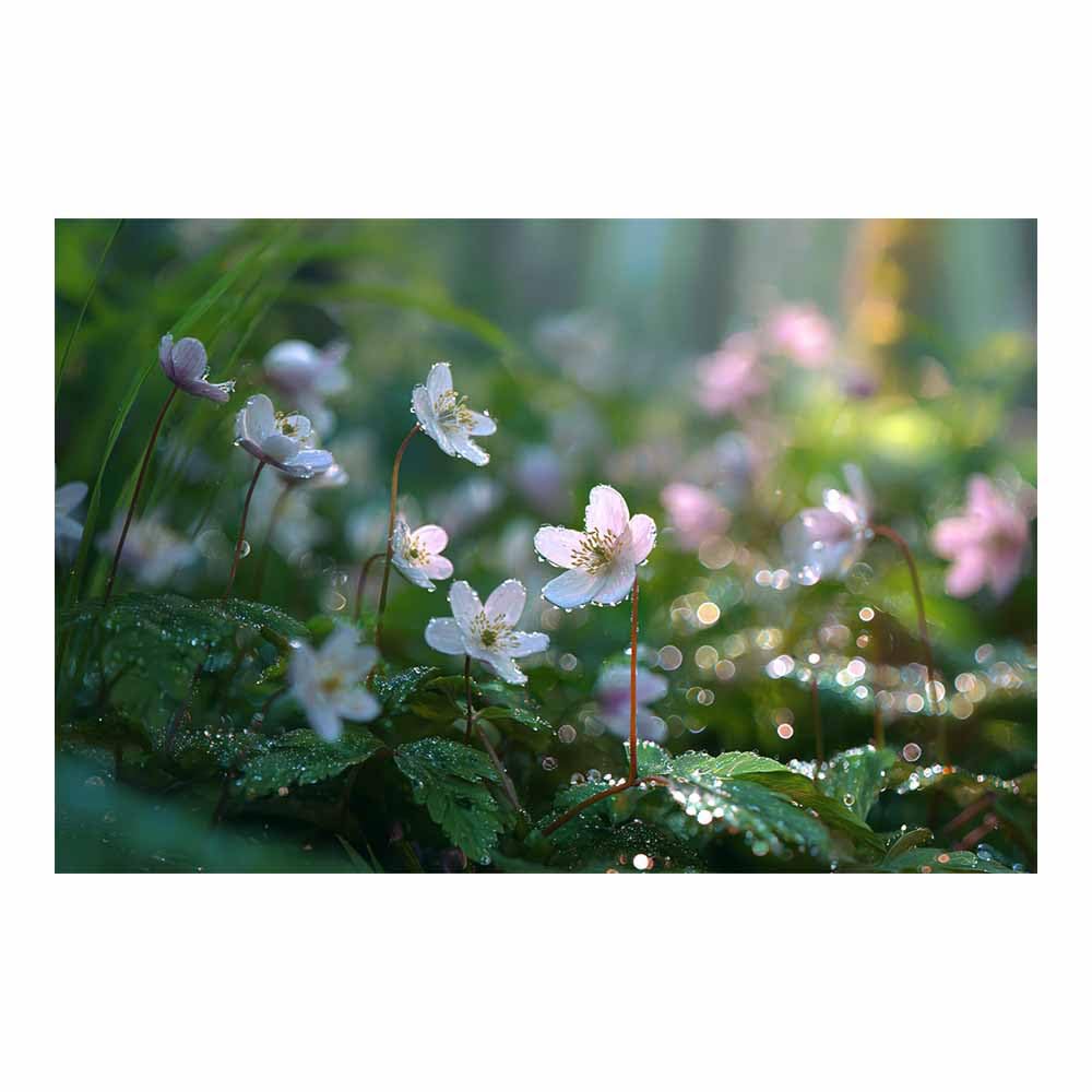 ZAMAEIU Landscape Wall Art Flower in the thicket Artwork for Walls, Canvas Prints Paintings Room Decor, for Bedroom Kitchen Office Fireplace Wall Decor(green)-30x50cm Unframed