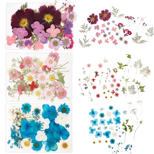104 Flores Secas Presionadas Set Multiuso Manualidades miniatura 6