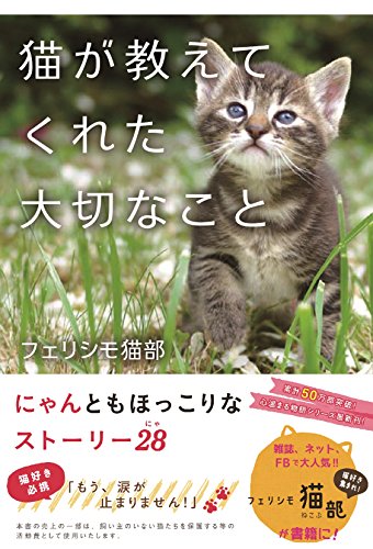 オライリー 無料電子書籍 猫が教えてくれた大切なこと (~心温まる物語シリーズ) バイ