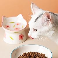 Vista 4 de Ceramic Raised Cat Bowls, Anti Vomiting and Protect Pets' Spines for Indoor Cats Whisker Friendly Pet Feeder for Cats Puppies (Pink)