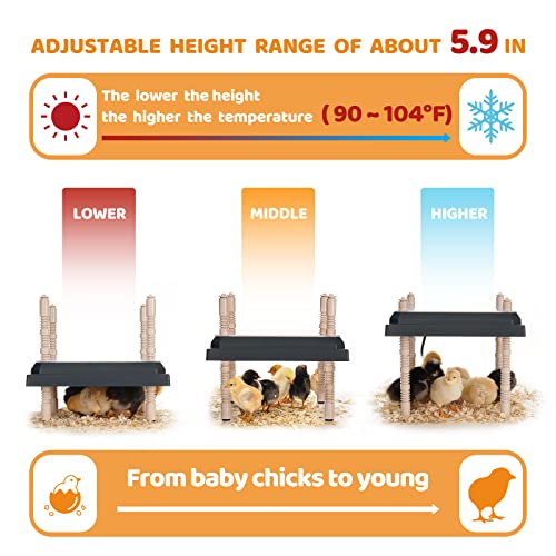 DDSNTY Bruttenheizung, für Küken, 25, 4 cm, Schwarz-4