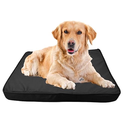 Are No Limit Dog Beds Washable