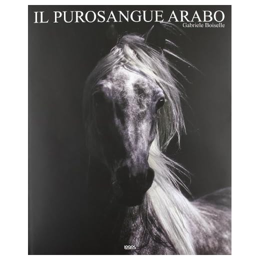 Il cavallo arabo. Ediz. multilingue