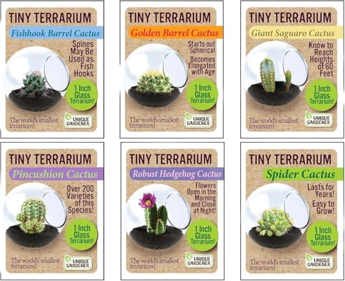 Unique Gardener Tiny Terrarium Plant Seeds 6 Variety Cacti Pack, DIY Indoor Succulents and Live Plants for Home or Garden Planting, Assorted Cacti Pack