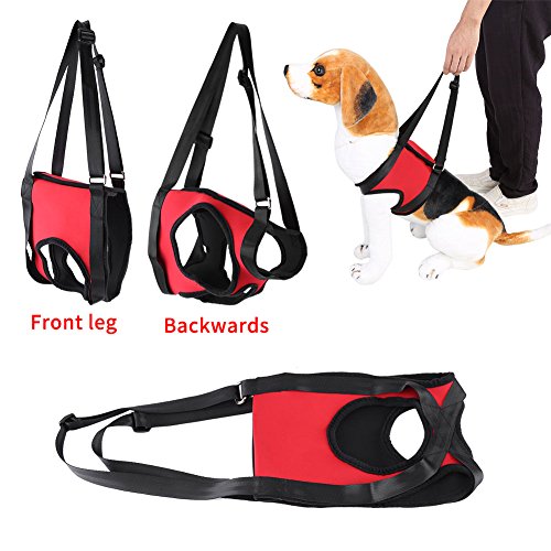 GLOGLOW 2 Arten Front & Rear Dog Support Harness, Wiederverwendbare Gehhilfe Unterstützung Hebe Pulling Vest für Alte & Verletzte Hunde(Hinterbein M)