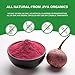 Jiva Organics Beet Root Powder 7 Oz Bag - for Baking & Smoothies - Pure & Natural, Non-GMO, Vegan
