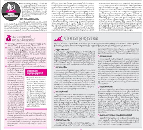 Mathrubhumi Calendar 2026 Malayalam Wall Hanging Calendar 2026 Malayalam Calendar 2026 Planner Office Home New Year Calendar 2026 | 2026 Malayalam Calendar | (Pack of 3)