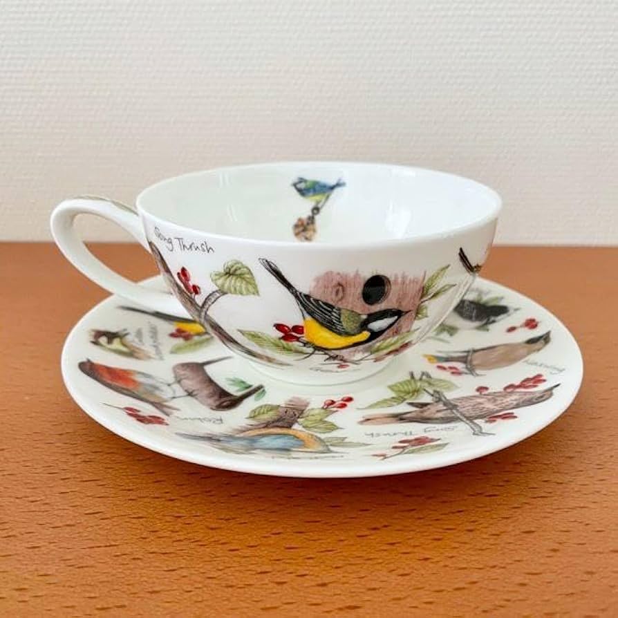 新品未使用 保管品
 POC ポック
 レーシンググラブ Dunoon ダヌーン 小鳥のティーフォーワン ティーポットとティー