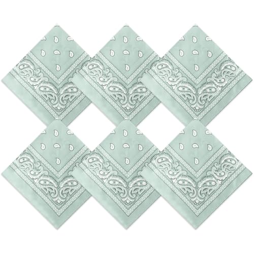 Blulu 6 Pcs Neon Color Cowboy Bandanas for Men Women Assorted Paisley Pattern Handkerchiefs 22 x 22 Inch Kids Headwrap Scarfs(Grayish Green)