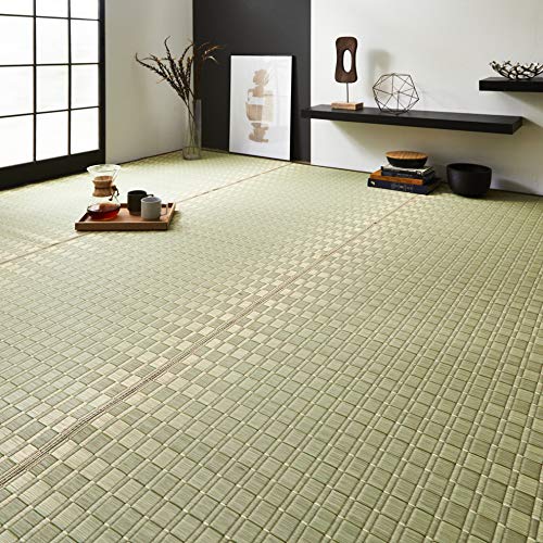 CPqR O Ԃ J[ybg 6 Y |D wx x[W ]ˊ6 (261×352cm)#4407106