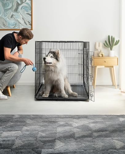 lionto Tiertransportbox für Hunde und Katzen, vielseitiger Transportkäfig mit hygienischer Kunststoffwanne, 122x75x81 cm, Hundebox aus Metall mit stabilen Sicherheitsverschlüssen & Trennwand, schwarz