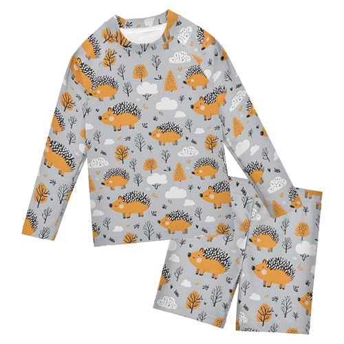 Hedgehog Trees Toddler and Baby Boys' 2-Piece Swimsuit Trunk, Long Sleeve Rashguard Bathing Suit B0403611