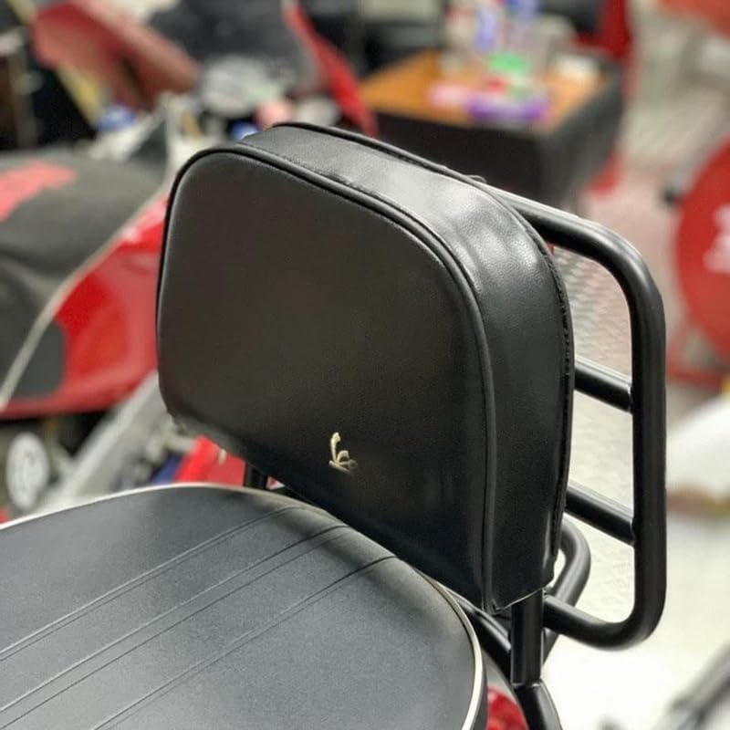 Portapacchi Passeggero Schienale Cuscino per Moto Compatibile con GTS GTV 300 GTS300 Primavera Sprint 150 GTS300 Schienale Cuscino Pad (Nero)