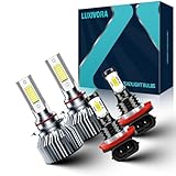 LUXIVORA 079-DL-9005+H11-0228-9