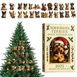 Cuenta Regresiva con Estilo: Este calendario de adviento navideño proporciona 24 de acrílico para un posicionamiento versátil en luces, paredes o árboles. Ofrece una experiencia de cuenta regresiva encantadora mientras realza el ambiente festivo en diferentes espacios. Ideal para decorar con elegancia durante las celebraciones, asegurando que cada día previo a la Navidad esté lleno de alegría y diversión navideña.