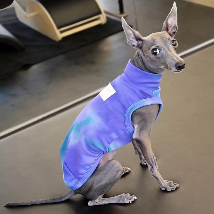 DOGGY STAR ベスト