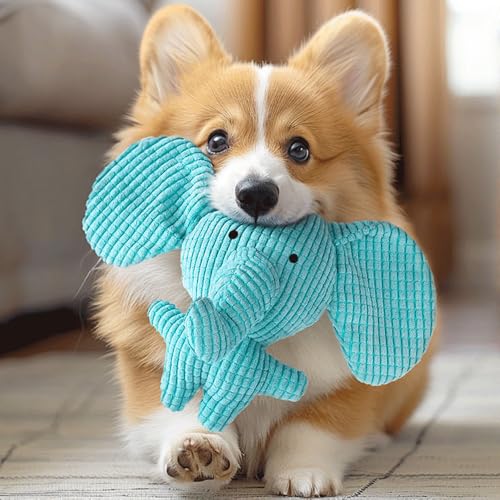 Speedy Panther 7 Stück Hundespielzeug für Kleine Hunde, Plüschspielzeug Quietschspielzeug, Welpe Kauspielzeug, Hundeseil Spielzeug Set für Kleine Mittlere Hunde