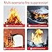 Small Fire Extinguisher for Home, 1 Pack 620ml Portable Fire Extinguisher for Vehicle, Car, RV, Kitchen, Stay Life Safe Water-Based Automotive Fire Extinguisher with Wall Mounts (1Pcs)