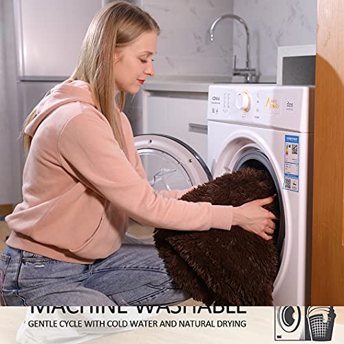 YUSOKI Twin Size Faux Fur Throw Blanket(Brown,60" x 80"),Whithout Pillows,Winter Lightweight Plush Fuzzy Soft Cozy Microfiber Comfy Bed Blanket for Women Kids Girls Couch Sofa Washable