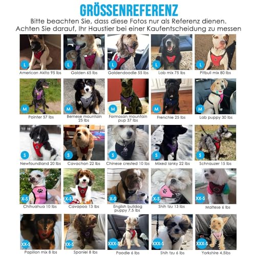 Eyein Hundegeschirr mit Sicherheitsgurt für Auto, 2 Karabinerhaken - verbunden mit Sicherheitsgurt-Schnalle, Kinder-Sicherheitssitz oder Trunk, verstellbare atmungsaktiv Geschirr (Schwarz, L)