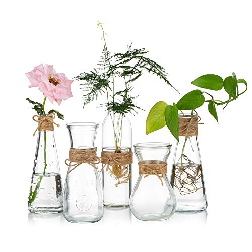 Sziqiqi 5 Pièces Vases à Fleurs en Verre Clair, Vases à Bourgeons en Verre avec Corde, Pièce Maîtresse de Vase à Fleurs pour la Réception de Mariage, Décoration de Table Fête Douche Bébé, 5 Pièces