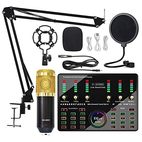 プロフェッショナルオーディオミキサー、マイクBluetoothワイヤレスカラオケ、ライブストリーミングDJ10サウンドカード、PC電話歌唱ゲーム用
