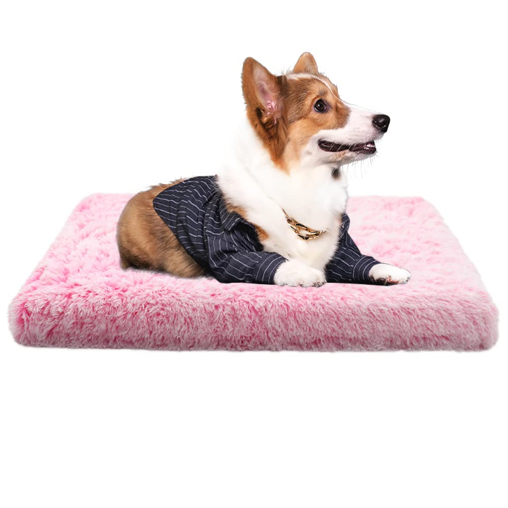 ANQI Plüsch Hundesofa / Katzenbett – Flauschiges Tierbett Mit Sofaschutz, Waschbar, Rutschfester Boden, Größe 76 X 76 Cm, Rosa