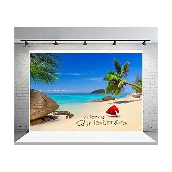 Laeacco Vinyl-Hintergrund, 2,2 x 1,5 m, Motiv: Weihnachtsmannmütze, tropischer Strand, Felsen, Palmen, Insel, blaues Meer und Himmel, Landschaft, Hintergrund für Kinder, Portraits, Fotostudio – Bild 5