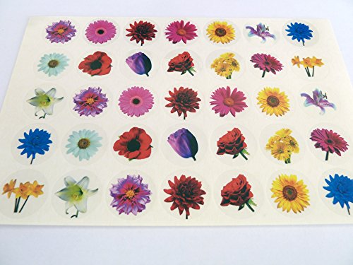 Minilabel Small Flower, Circle Greeting Stickers, Colour On Clear Self-Stick Labels for Cards, Envelopes, Craft, Decoration