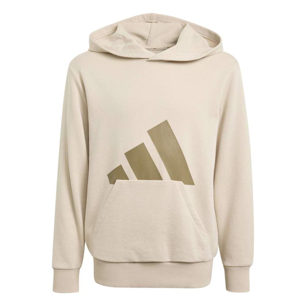 adidas Unisex Kids Essentials Big Logo Hoodie Sweatshirt, Crystal Linen/Khaki Six, 11-12 Years