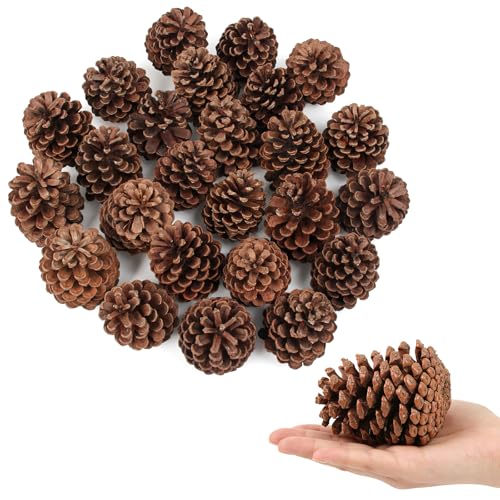 Deexun 25 Pcs Large Natural Pine Cones Bulk for Crafts & Christmas Decor