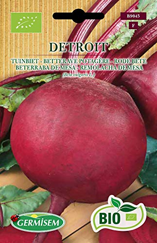Germisem Bio Graines Betterave potagère DETROIT