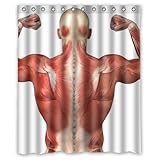 muscles anatomy back Shower Curtain 60 x 72 Inch Bathroom