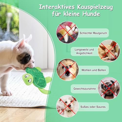 TONYFY Quietschendes Hundespielzeug, Meeresschildkröte Plüsch Hundespielzeug, Interaktives Spielzeug für Welpen zum Zahnen, Kauspielzeug für kleine Hunde (Grün)