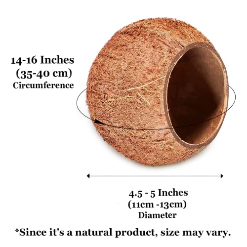 Image of SunGrow Coconut Shell House for Gecko, Snake & Ball Python, Raw Coco Husk, Pet Hiding House, Climber or Chew Toy, for Reptiles, Amphibians (Coco Bowl)