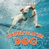 Underwater Dog 2022 Calendar: Blur Theme 12 Months Small Calendar Jan 2022 To Dec 2022 Gifts For Dog Lovers