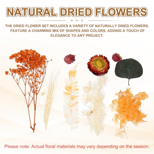 uxcell Natural Dried Flower Set flores secas naturales miniatura 3