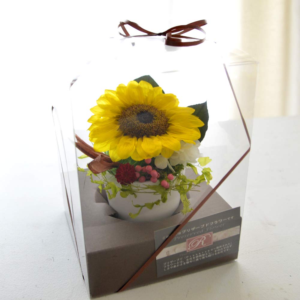 Amazon | プリザーブドフラワーアレンジ [ひまわりポット] ギフト