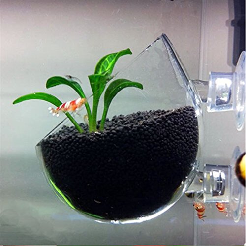 TNA TG-19, Aquarium Plant Tank Mini Crystal Glass Pot for Aquascape